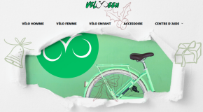 Les signalements visant le site Velogreen.fr se multiplient.